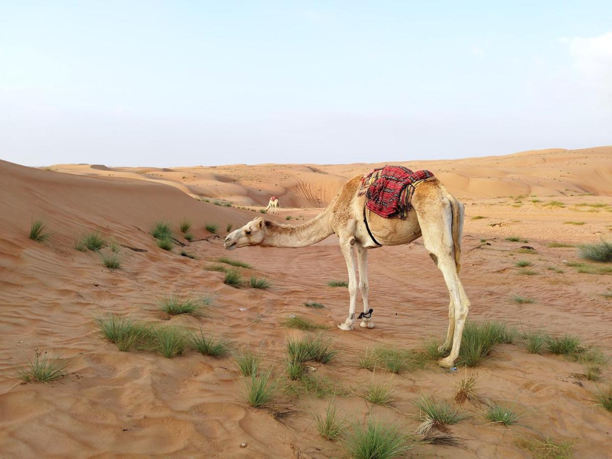 Sands Dream Tourism Camp Shāhiq Exterior photo