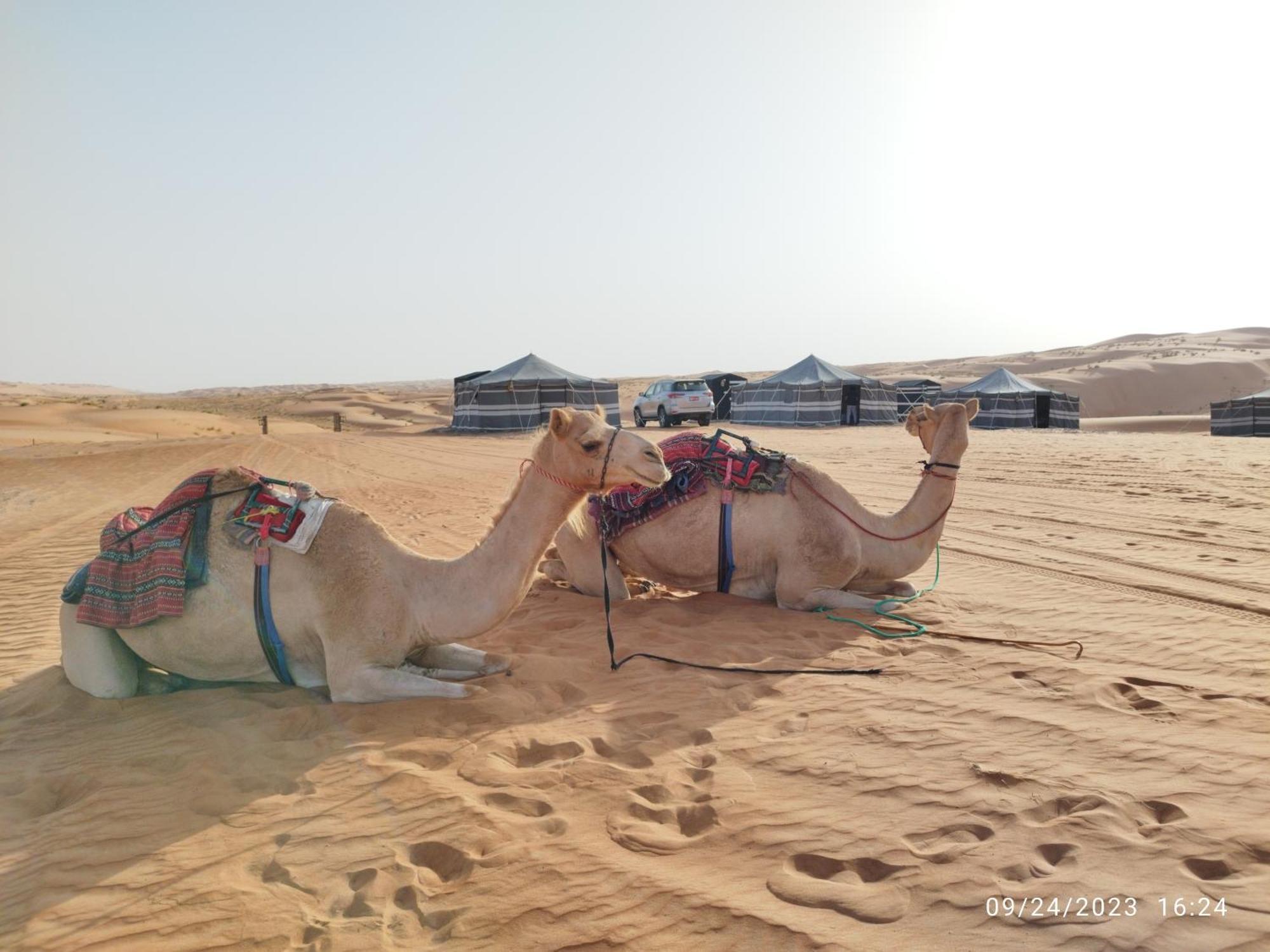 Sands Dream Tourism Camp Shāhiq Exterior photo
